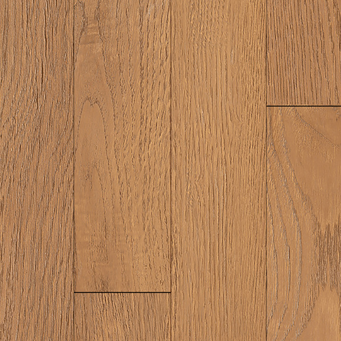 NEW TRADITIONS product view 3