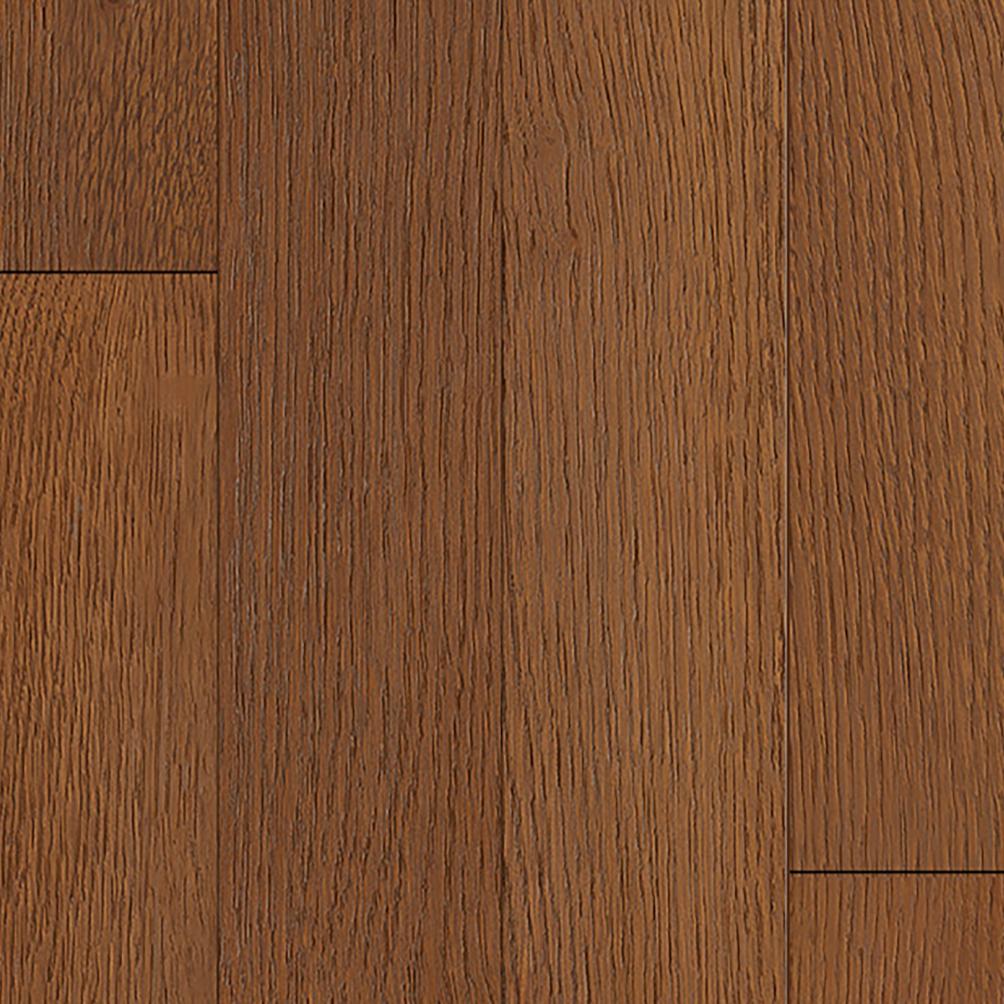 NEW TRADITIONS product view 2