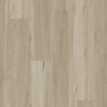 Sugar Maple